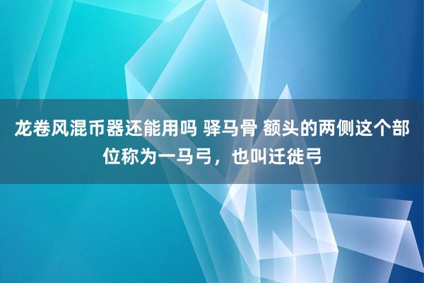 龙卷风混币器还能用吗 驿马骨 额头的两侧这个部位称为一马弓，也叫迁徙弓